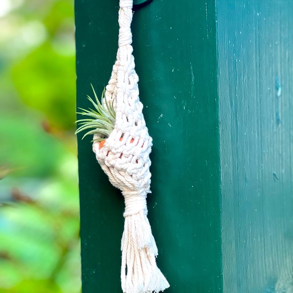 Mini Macrame Plant Hanger with Terra Cotta Pot - Picture 4 of 4